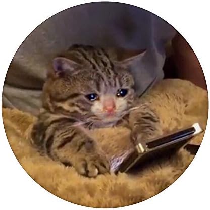 Тъжен Плачущий коте Котка - Забавен дизайн мем за тъга PopSockets PopGrip: Замяна дръжка за телефони и таблети