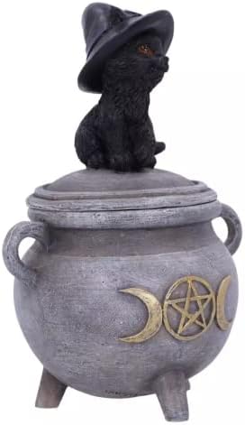 Тихоокеанския Подаръчен комплект Черна Котка в Шапка на Вещица, Седнала върху Кутията под Казана, Бижута от